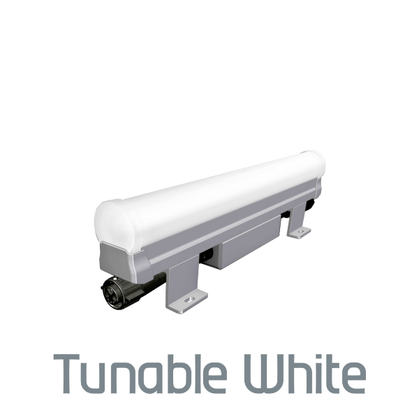 ColourLine Direct View TW