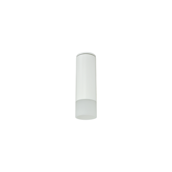 SSC2.5D