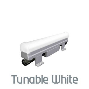 ColourLine Direct View TW