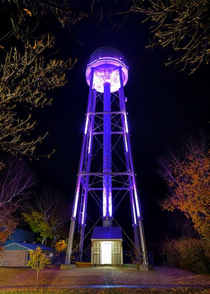Three Hills Water Tower, Alberta Canada